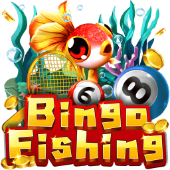 Câu Cá Bingo - 3win apk